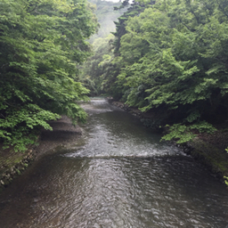 雫