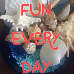 fun every day