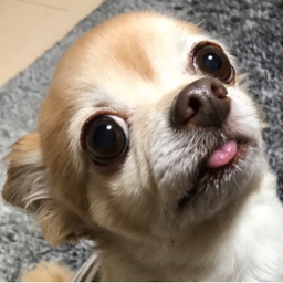 chiro0830