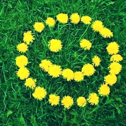 gluck：）