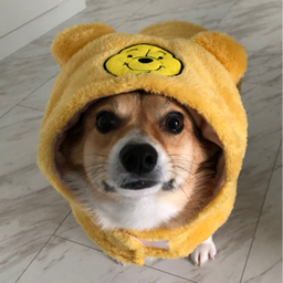 まめこまめ。