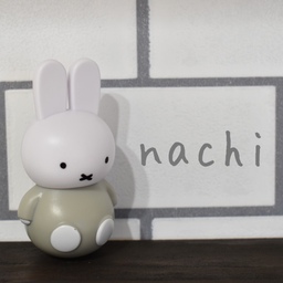 nachi14