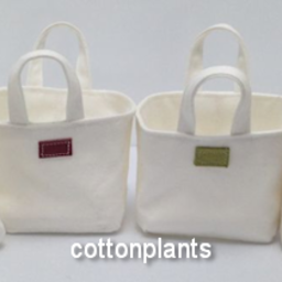 cottonplants