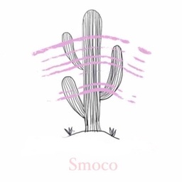 smoco accessory《すもこ》