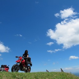 Quilavieum