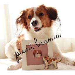pieni luumu