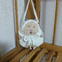 しにょニット
