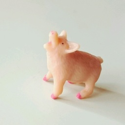 bigpig