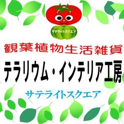 テラリウム＆インテリア雑貨  サテライト