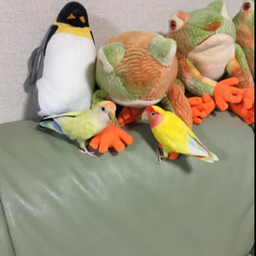 ひたろう