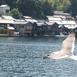 ビーズ×ニーズ ぽん子