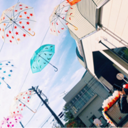 miraphoto05