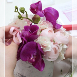 Lilas（リラ）