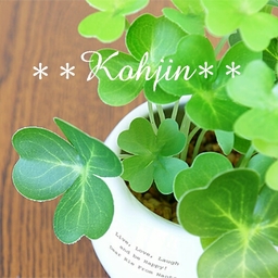 kohjin