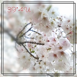 39*4U