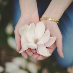 lily0000