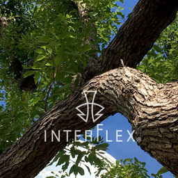 interflex-p