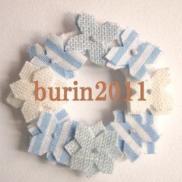 burin2011