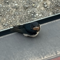 あ