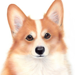 pittmama