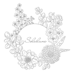 soleilune -ｿﾚｲﾘｭﾝﾇ-