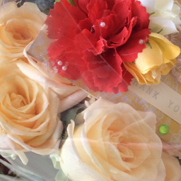 Hondashi’s  Art Box