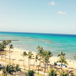 Lani aina #10