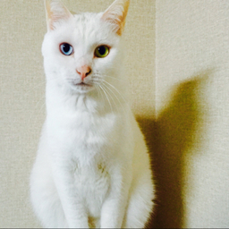 そい工房
