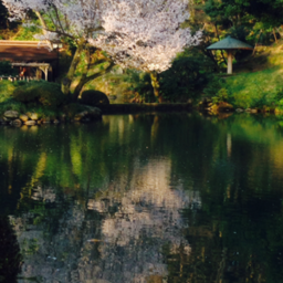 桜木屋