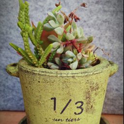 A.No3
