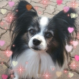 vivilove06