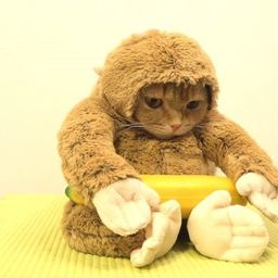 チャーリー