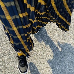 みそごはん