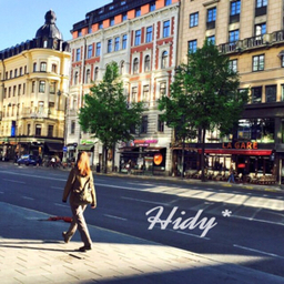 Hidy*