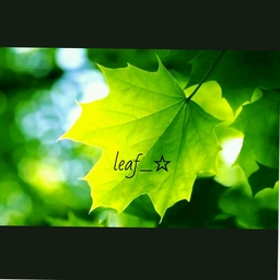 reaf_☆