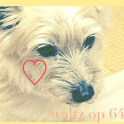 waltz