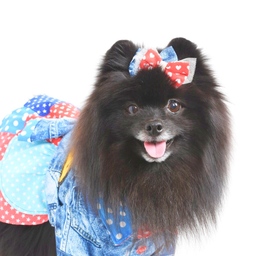 もふりん