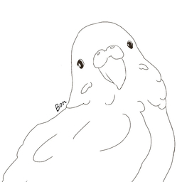 ぼん
