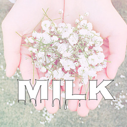 MILK