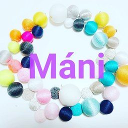 mani228417