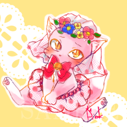 猫宝～nekodakara～