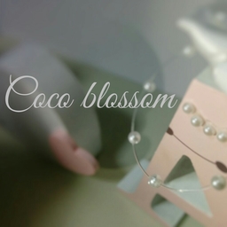 ♡cocoblossom♡
