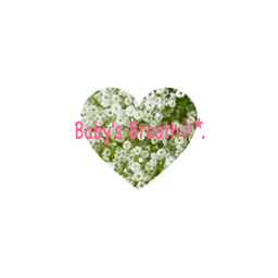 babys breath