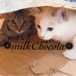 milkchocora