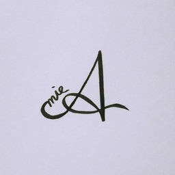 amie craft