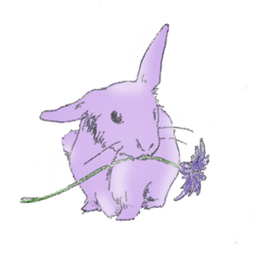 矢車草とうさぎ＊*°