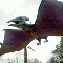 anhanguera