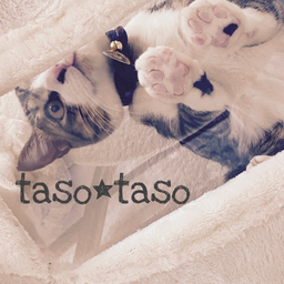 taso*taso