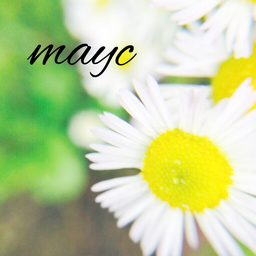 mayc（メイシー）