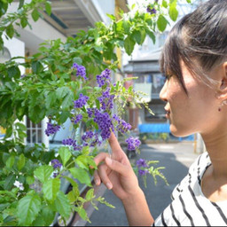 ♡& mie…♡